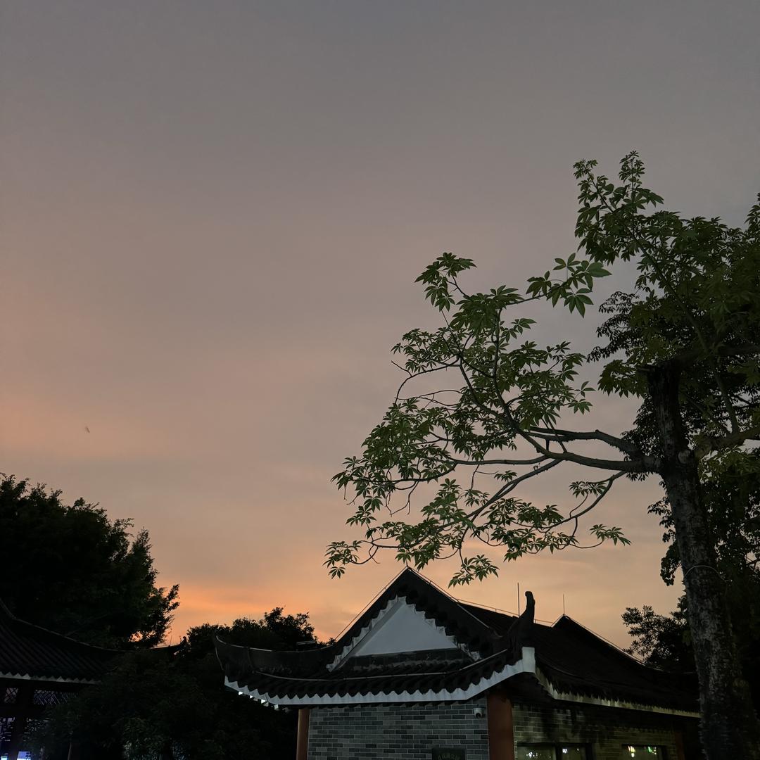 毛哥哥@