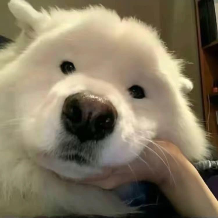 ㅤㅤ  ￰ㅤㅤㅤㅤ ㅤㅤ