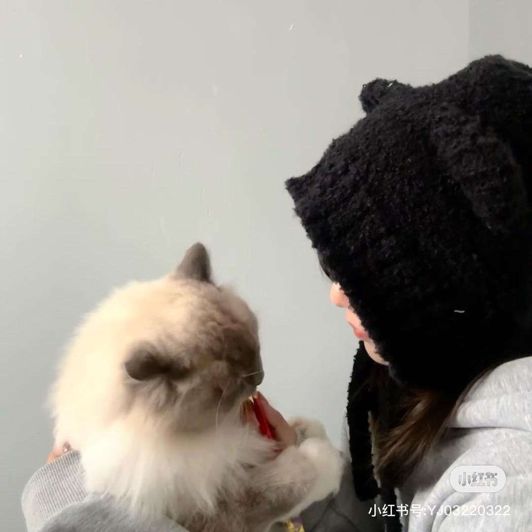 半分小苏_