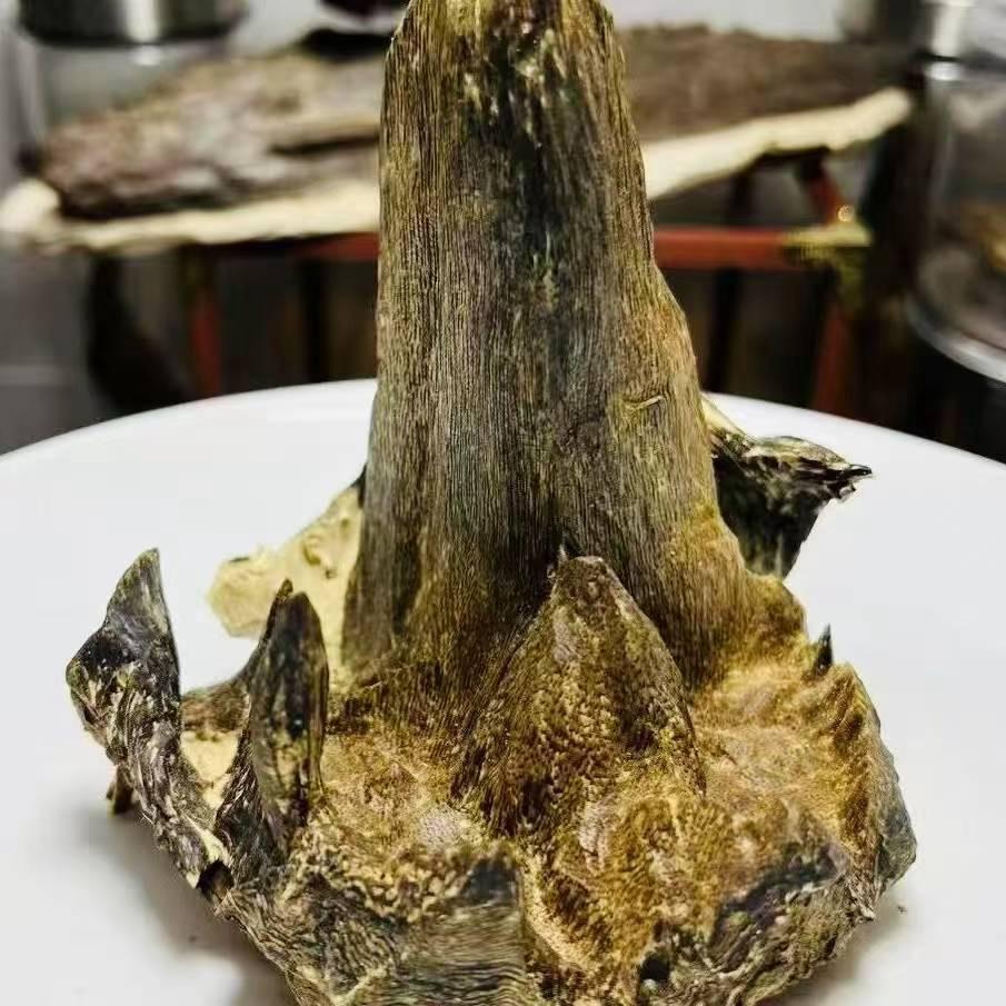 重生沉香工艺臻选阁