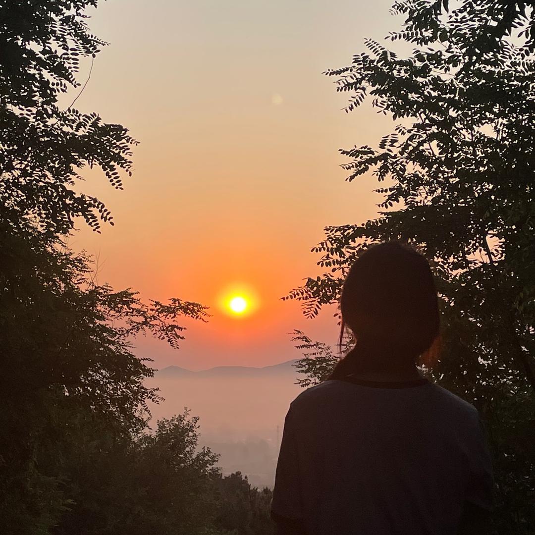 🌈打个鸡蛋花儿🌈