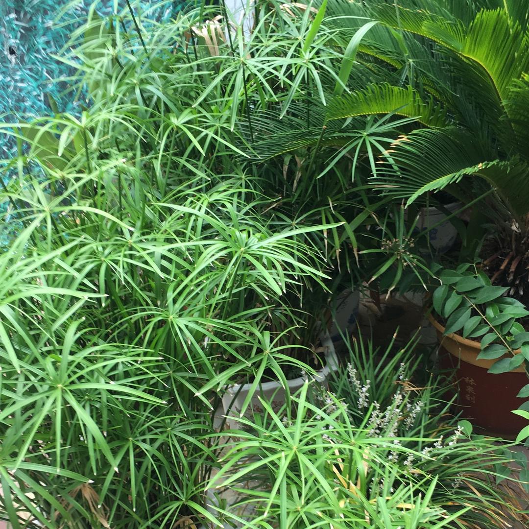 @厚德载物