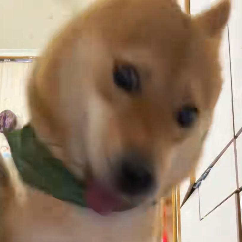 🌈好运连连🙏🙏