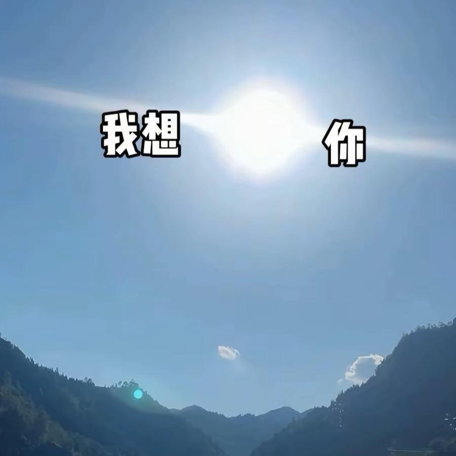 寻梦人
