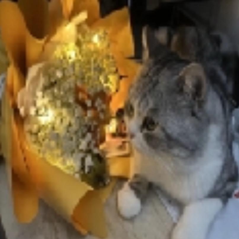 固执一生不忘天真