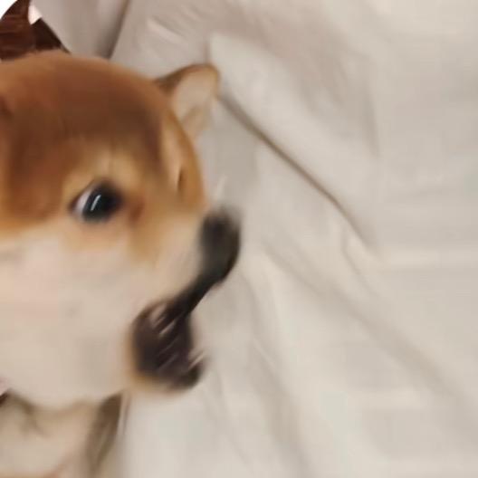 1227