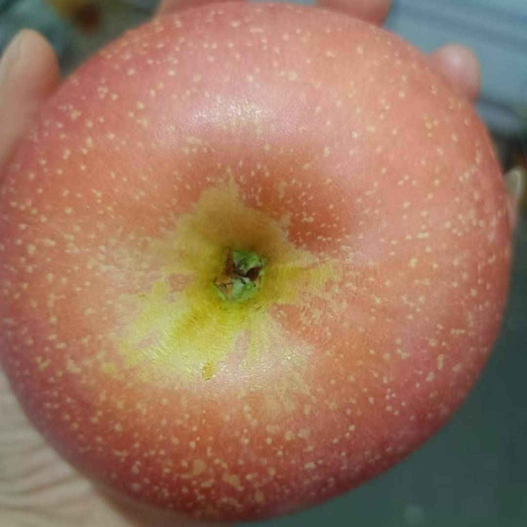 疯丫头