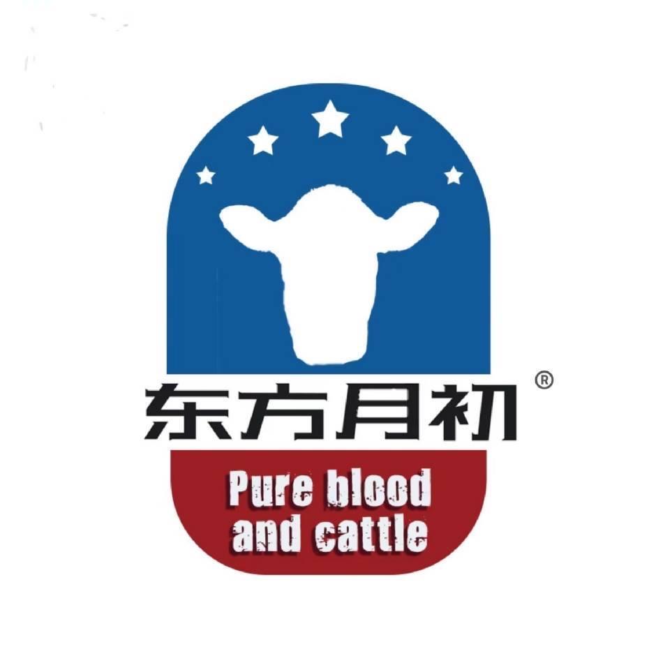 东方月初官方