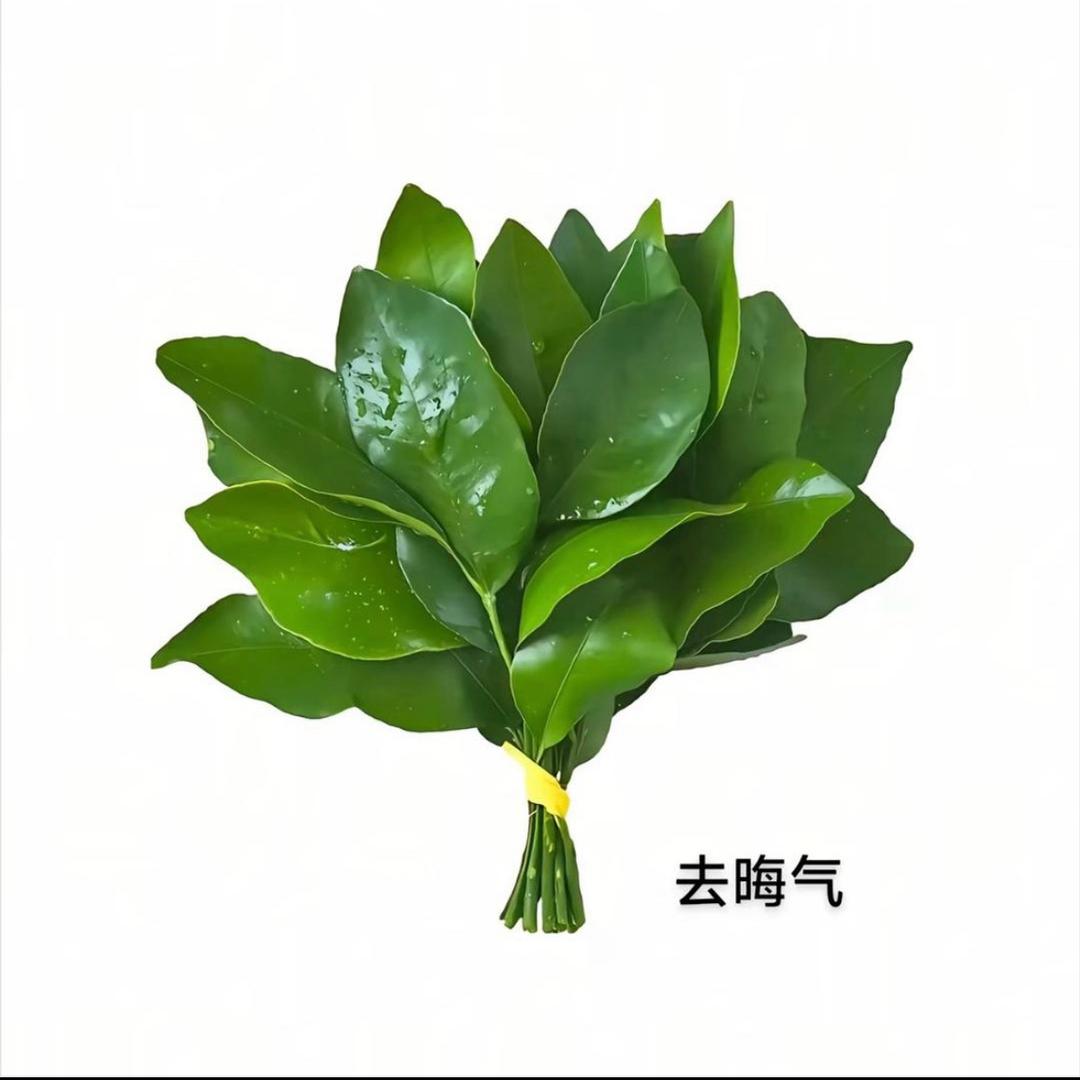 贤.