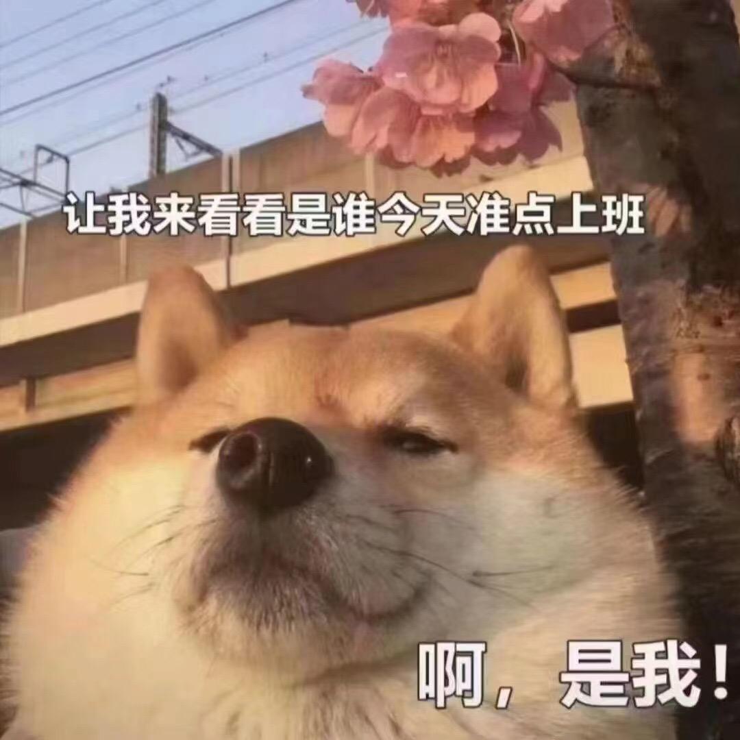 小叶叶优品