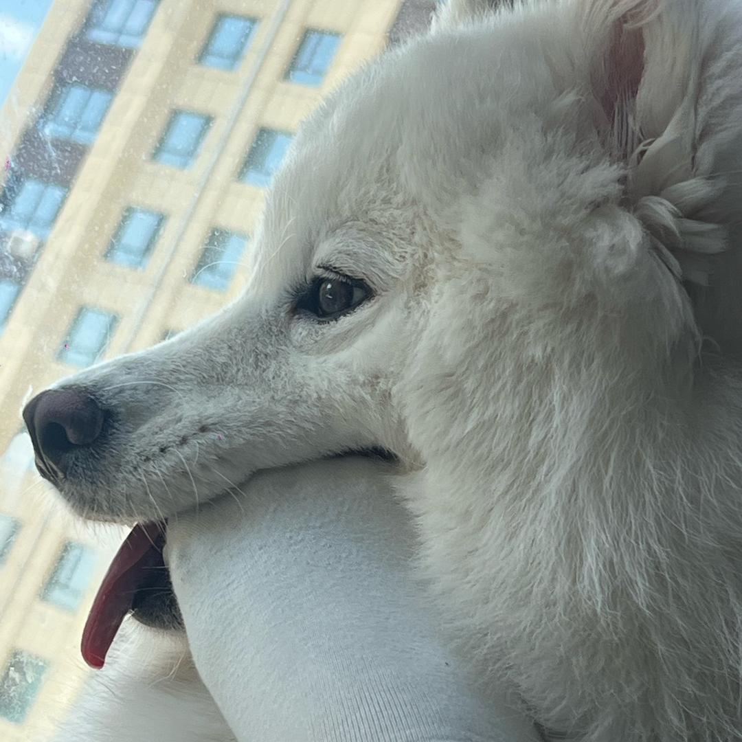 永远不长口腔溃疡！