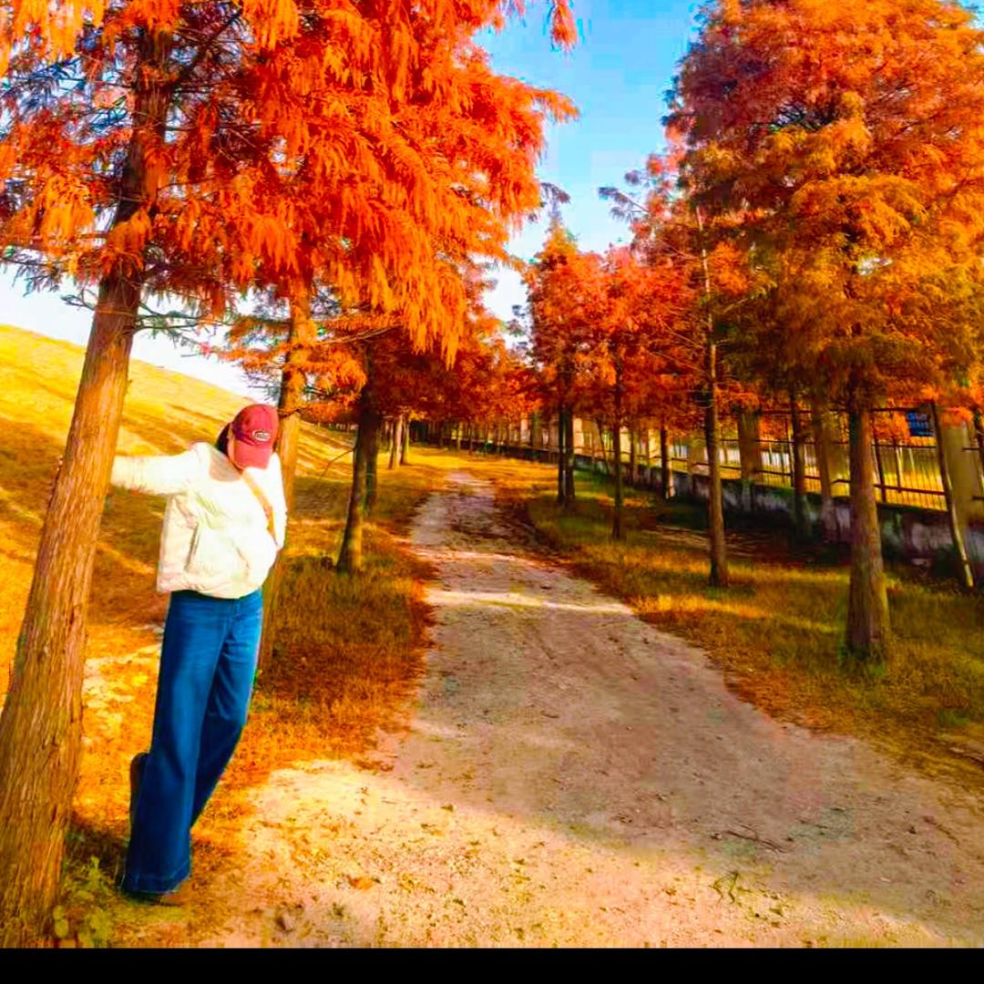 🌈风泉茶楼🌈