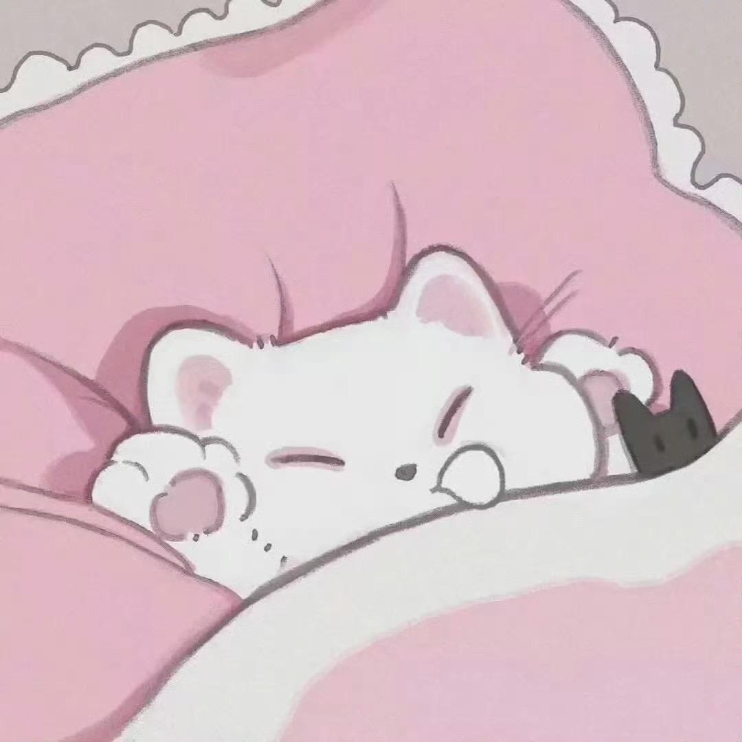 王王的装修日记🏠