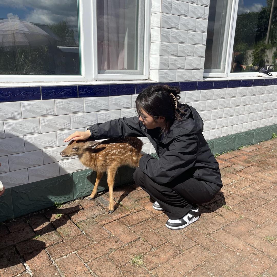 小冯东北特产行