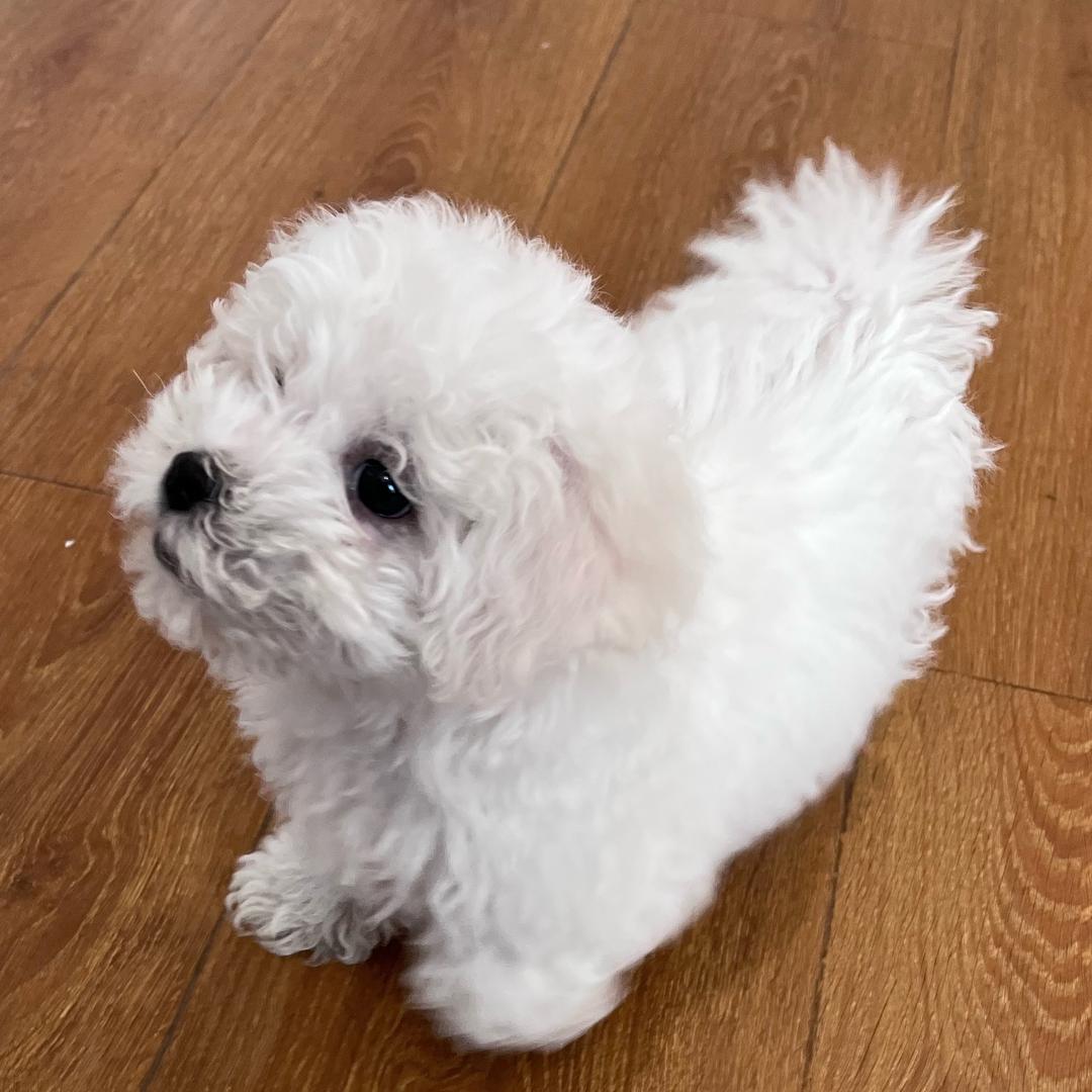 叫什么名字好呢