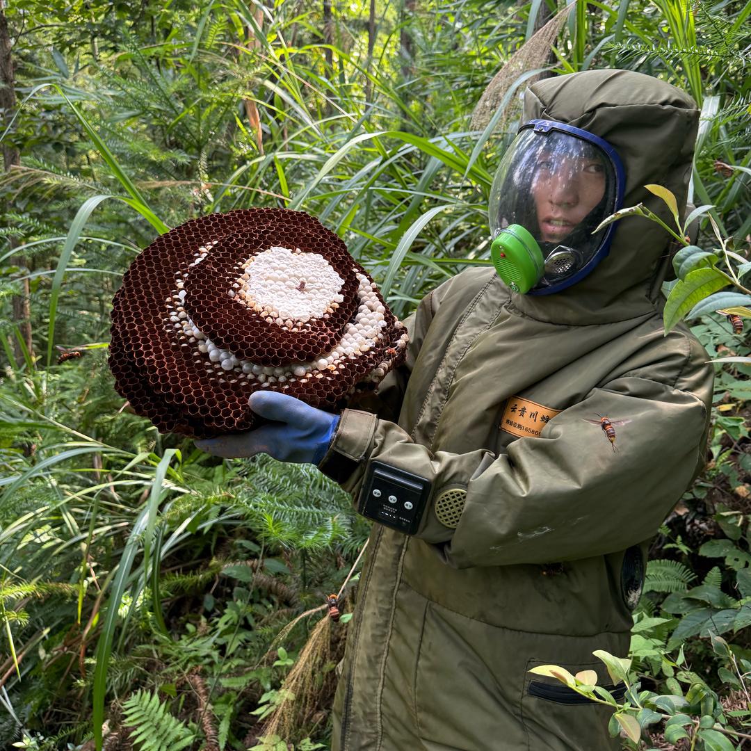 乡野小锅锅啊楷