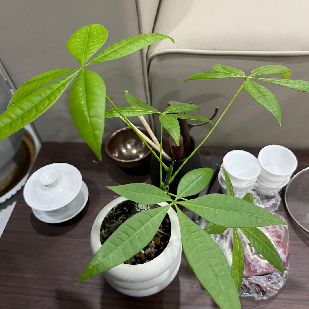 健康生活123