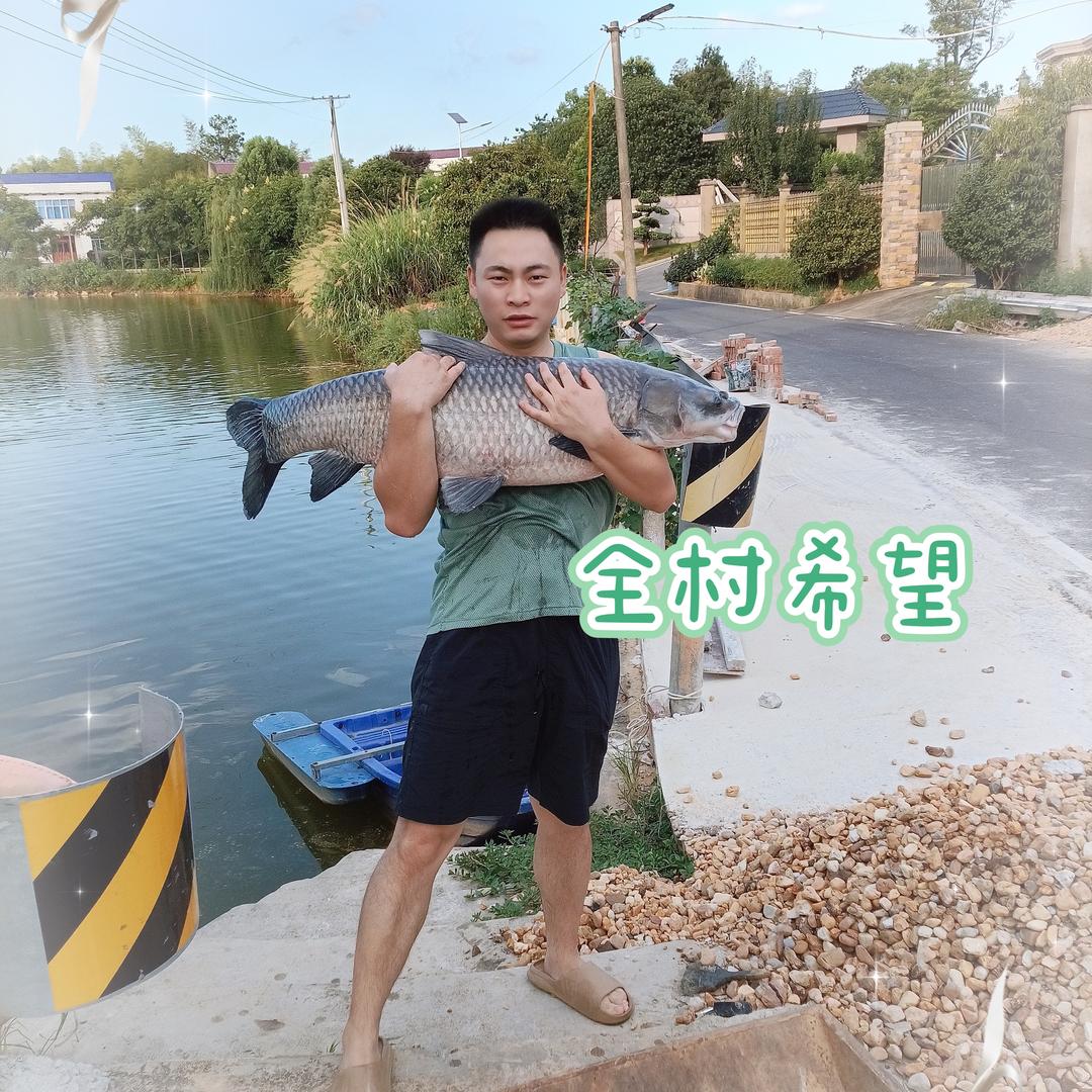 是全村希望呀