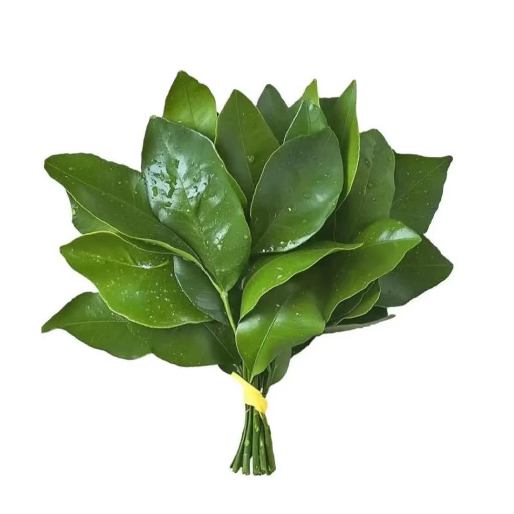 小狗🐶爱做作业