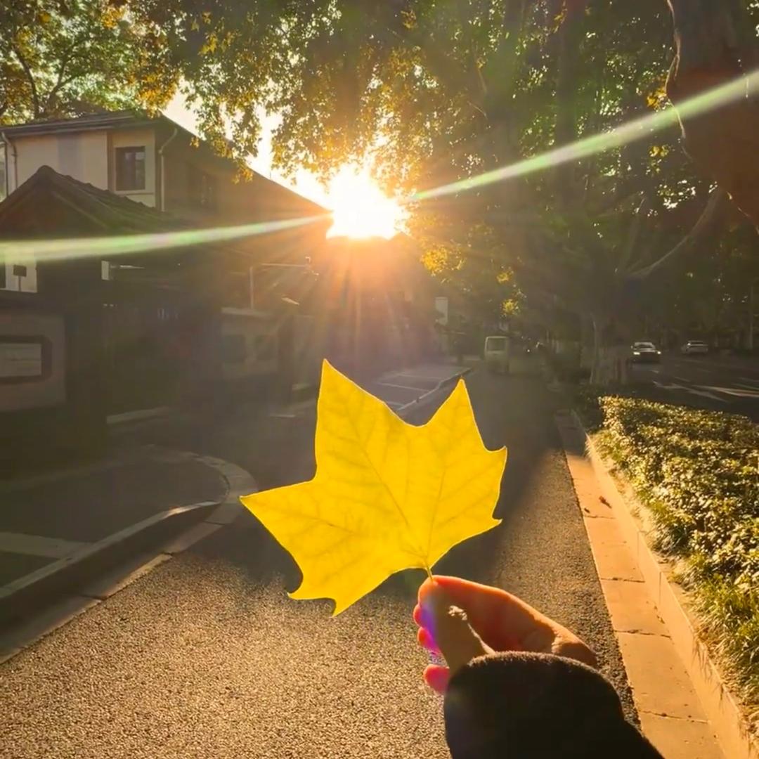 小树高货女鞋号