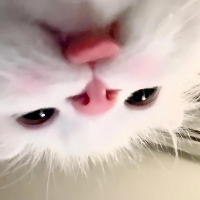日奈森亚梦
