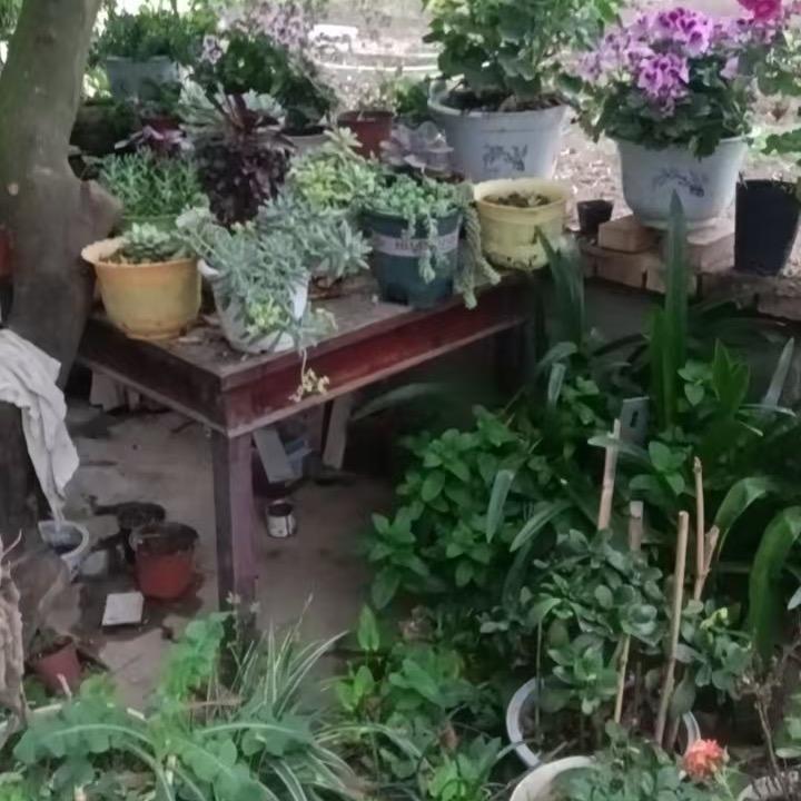 天亮