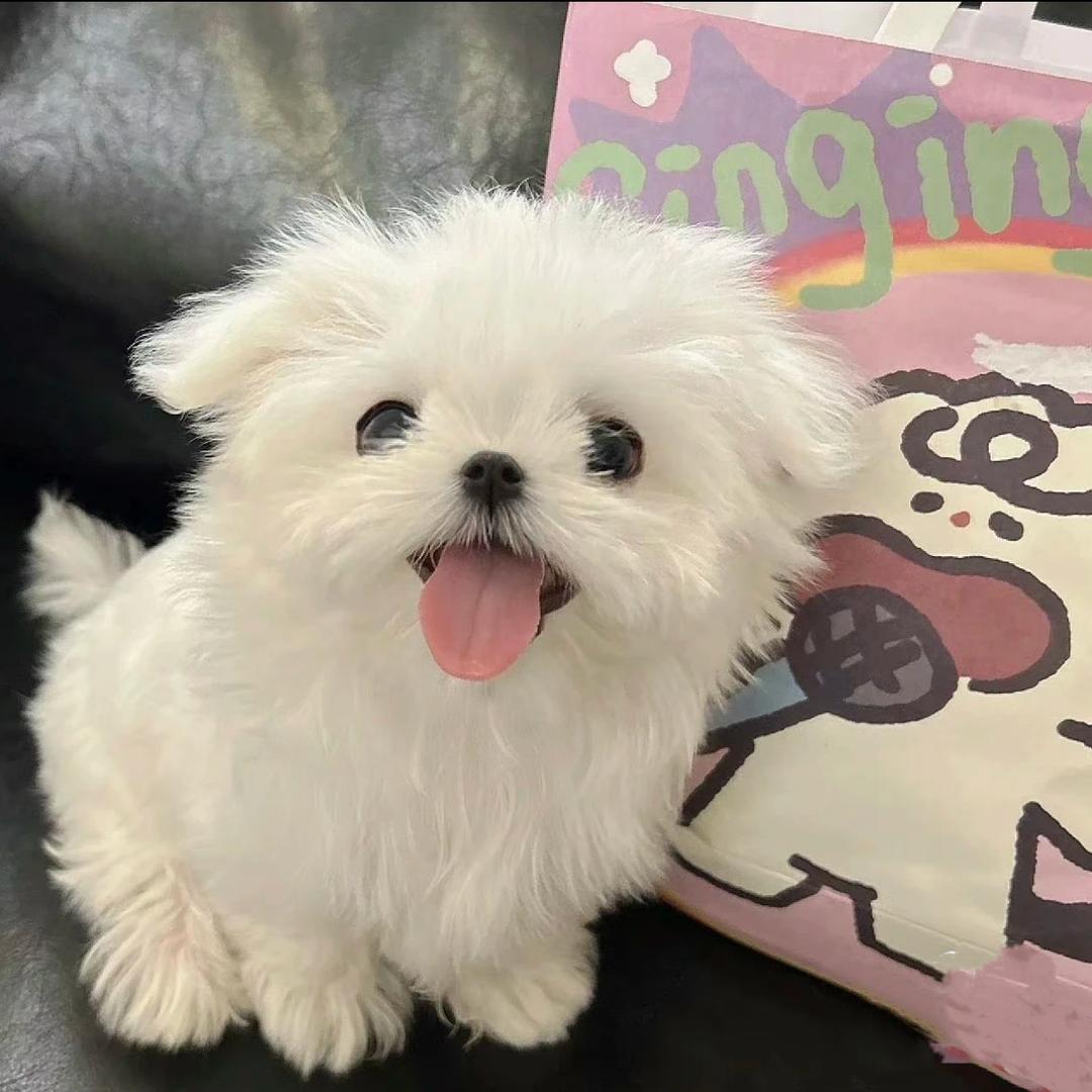 哦哦哦哦哦😄