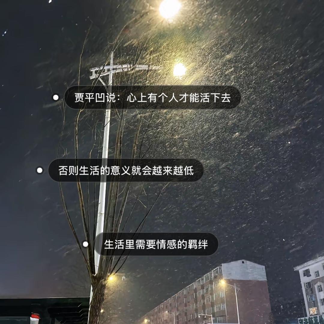 善良的狮子|||