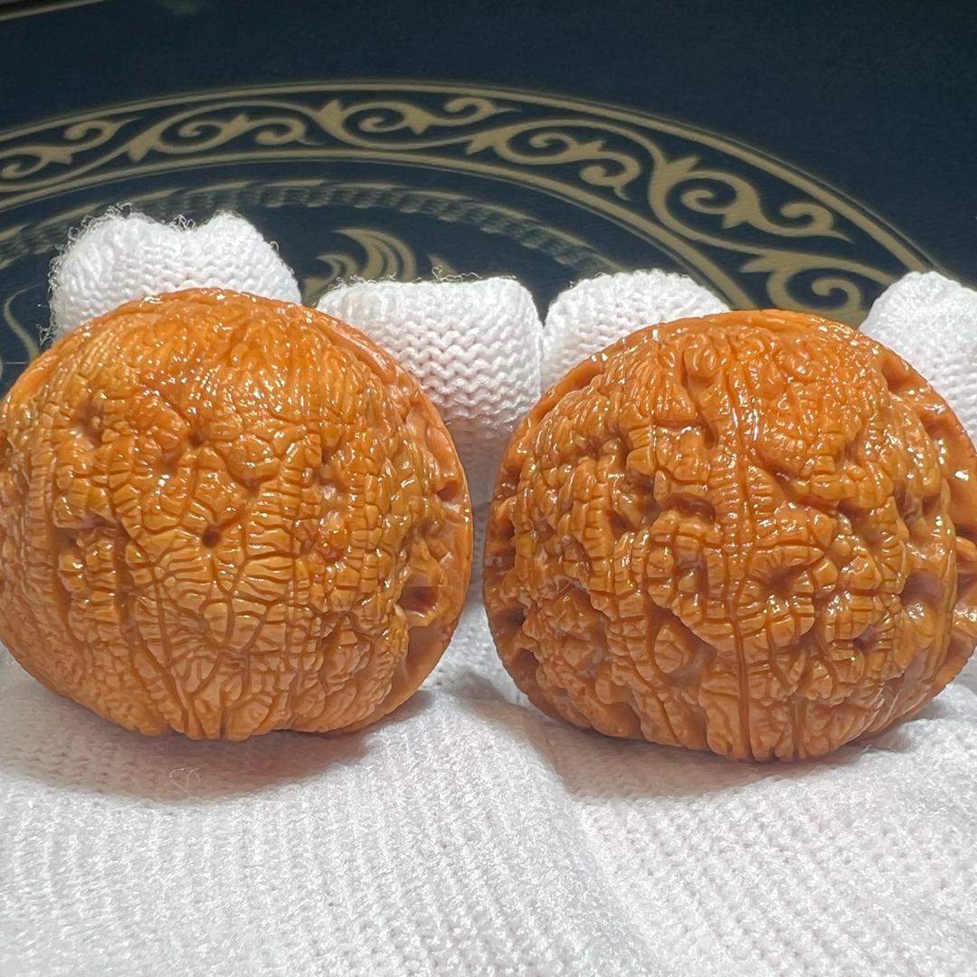 王氏核业一秦岭野生灯笼