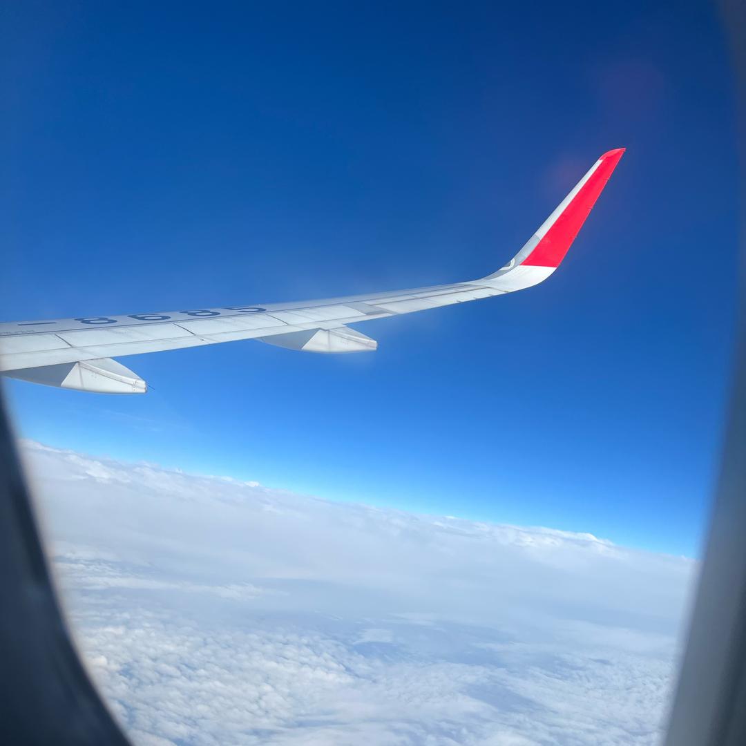 加油努力的小王呀