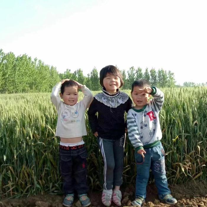 你不努力，谁也给不了你想要的生活。