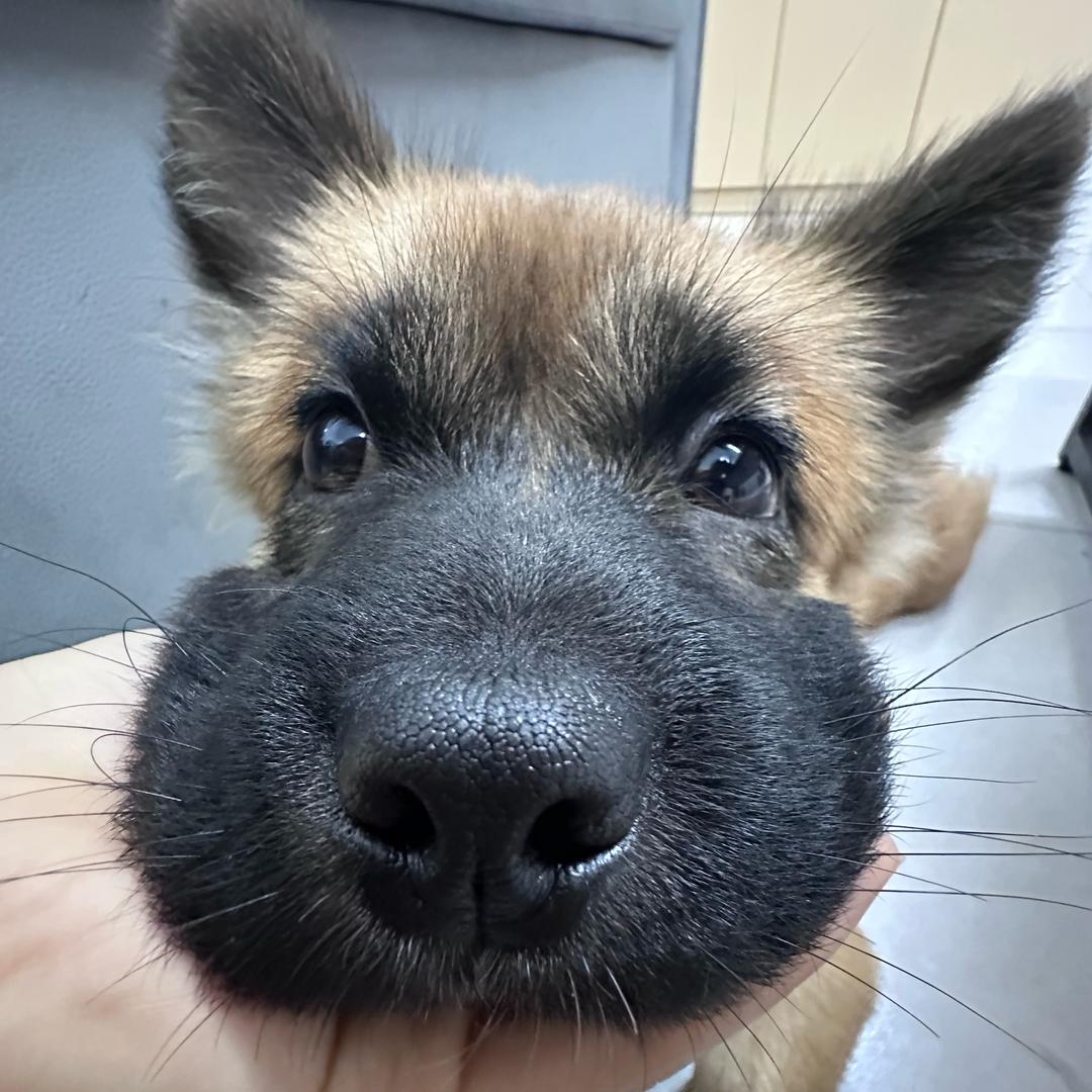 分你一口奶盖🥤