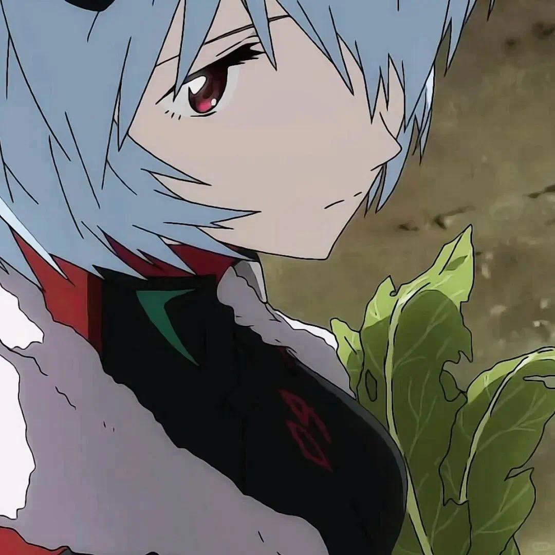 绫波麗