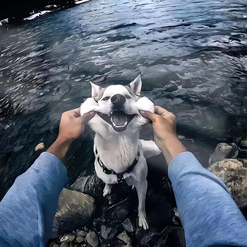 没有脑袋