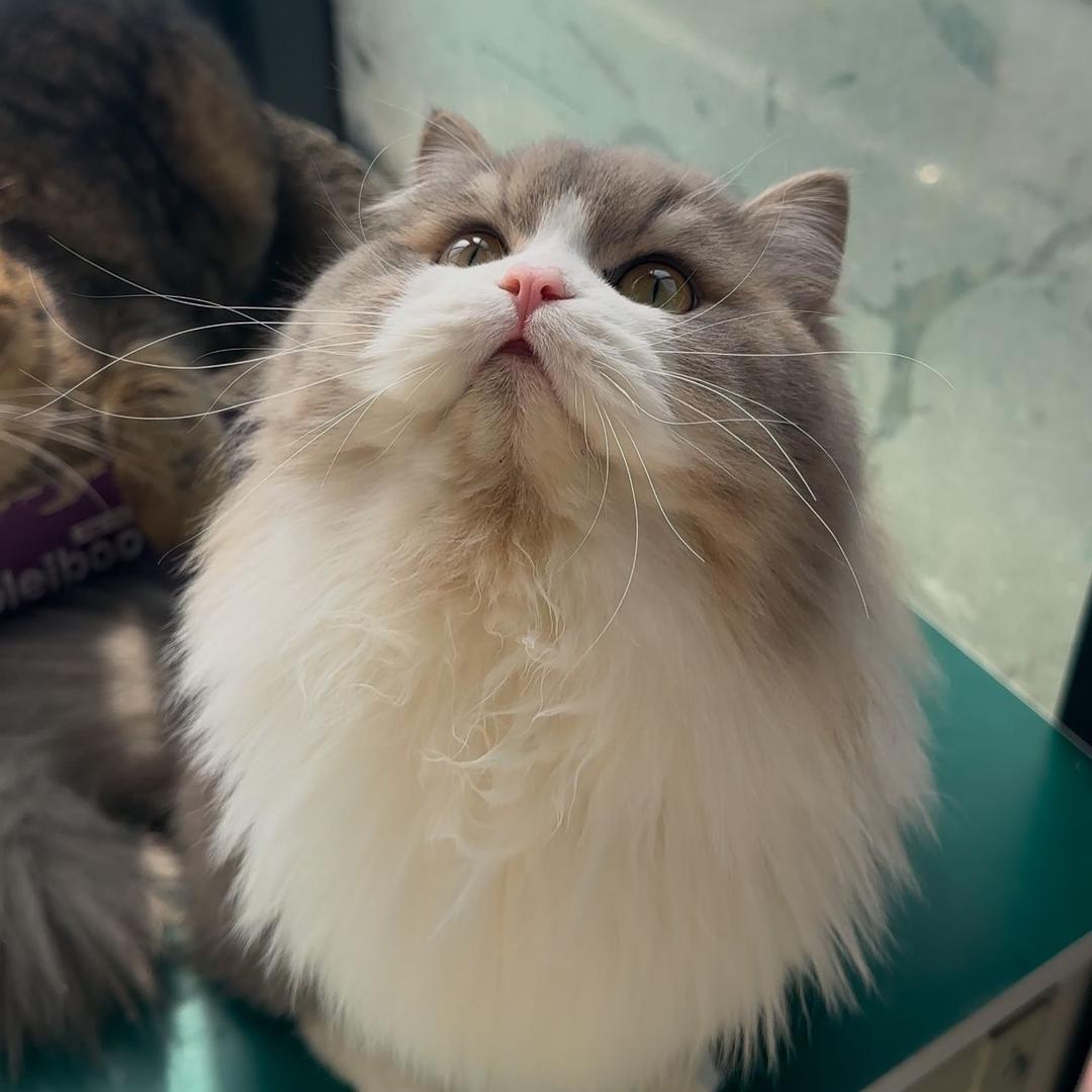 一个臭买菜的😂