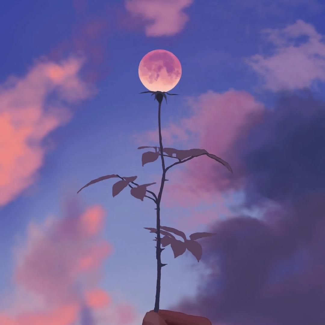 幸福一家人