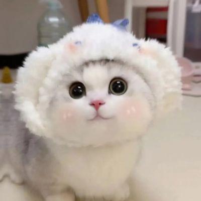 粉色独角兽🦄️