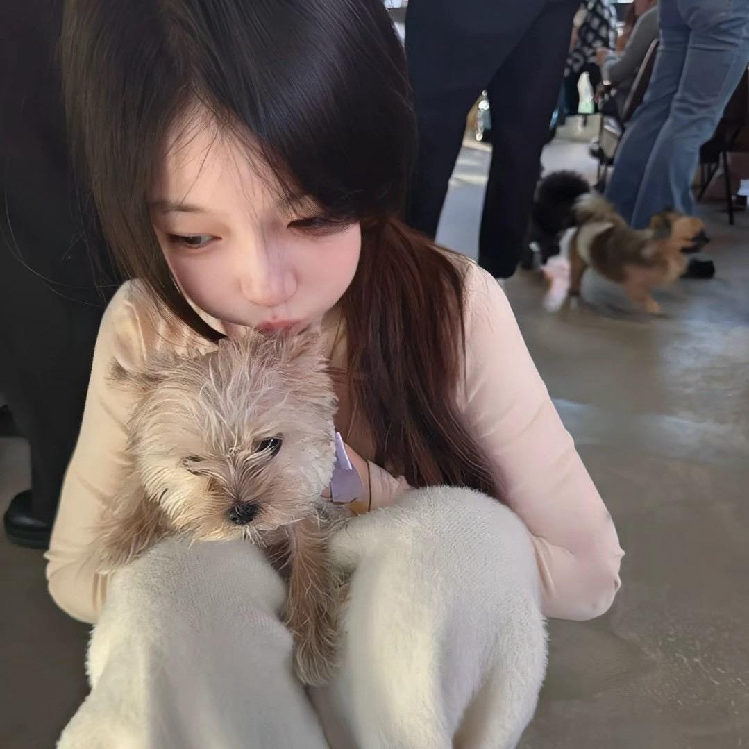 木子.