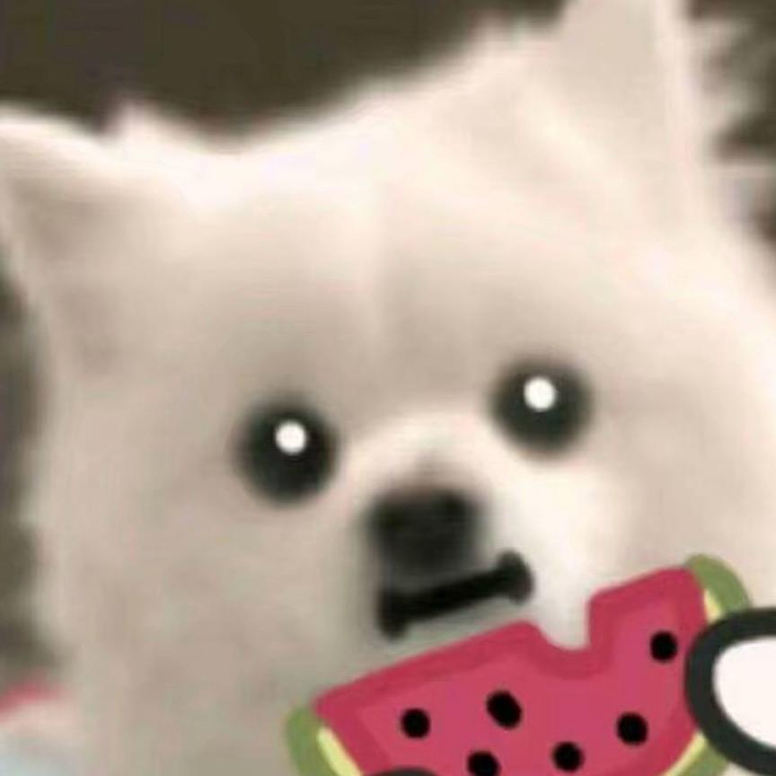 梦求真（暗区突围）