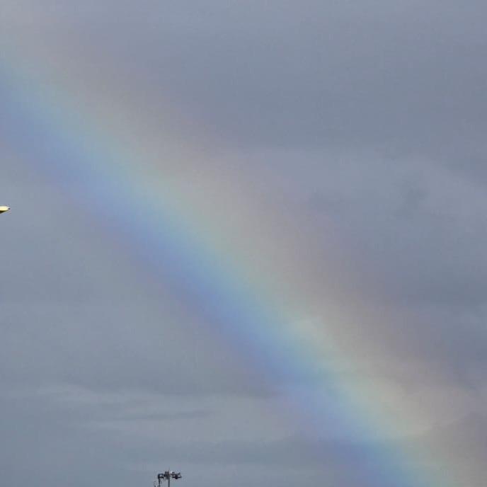 ♥️再会龟来 🐢🐢🐢