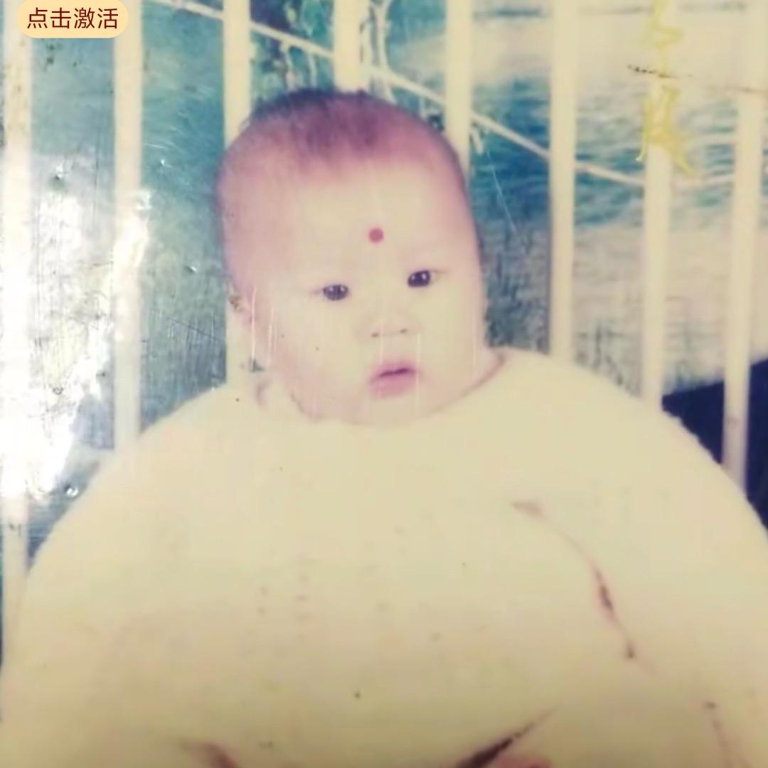 小森林在干嘛