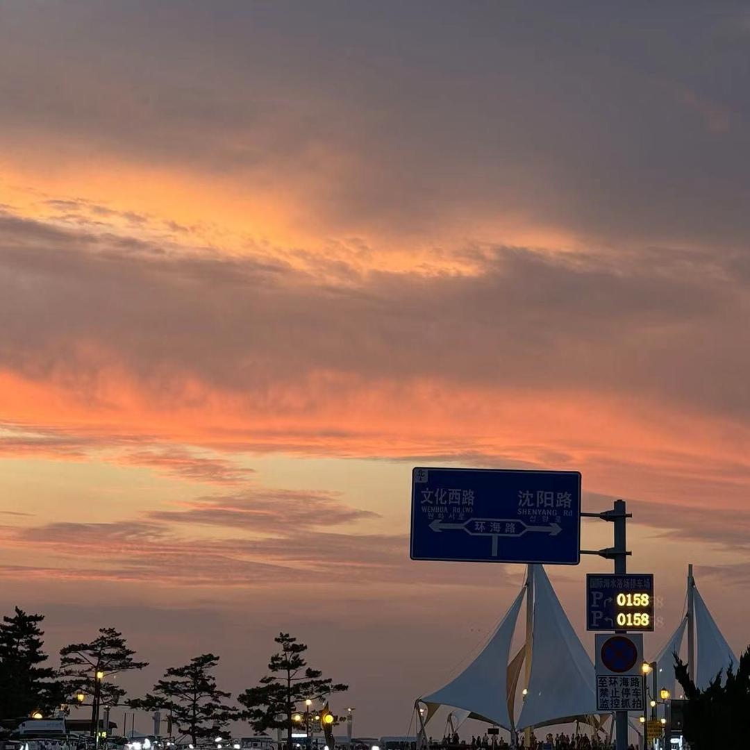 鲸鱼（三角洲行动）