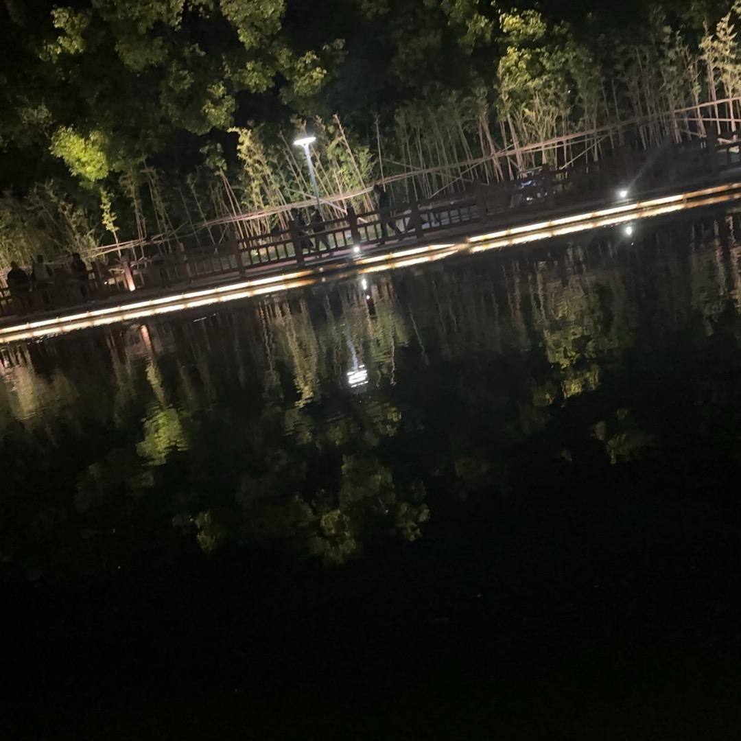 阿苒🐵