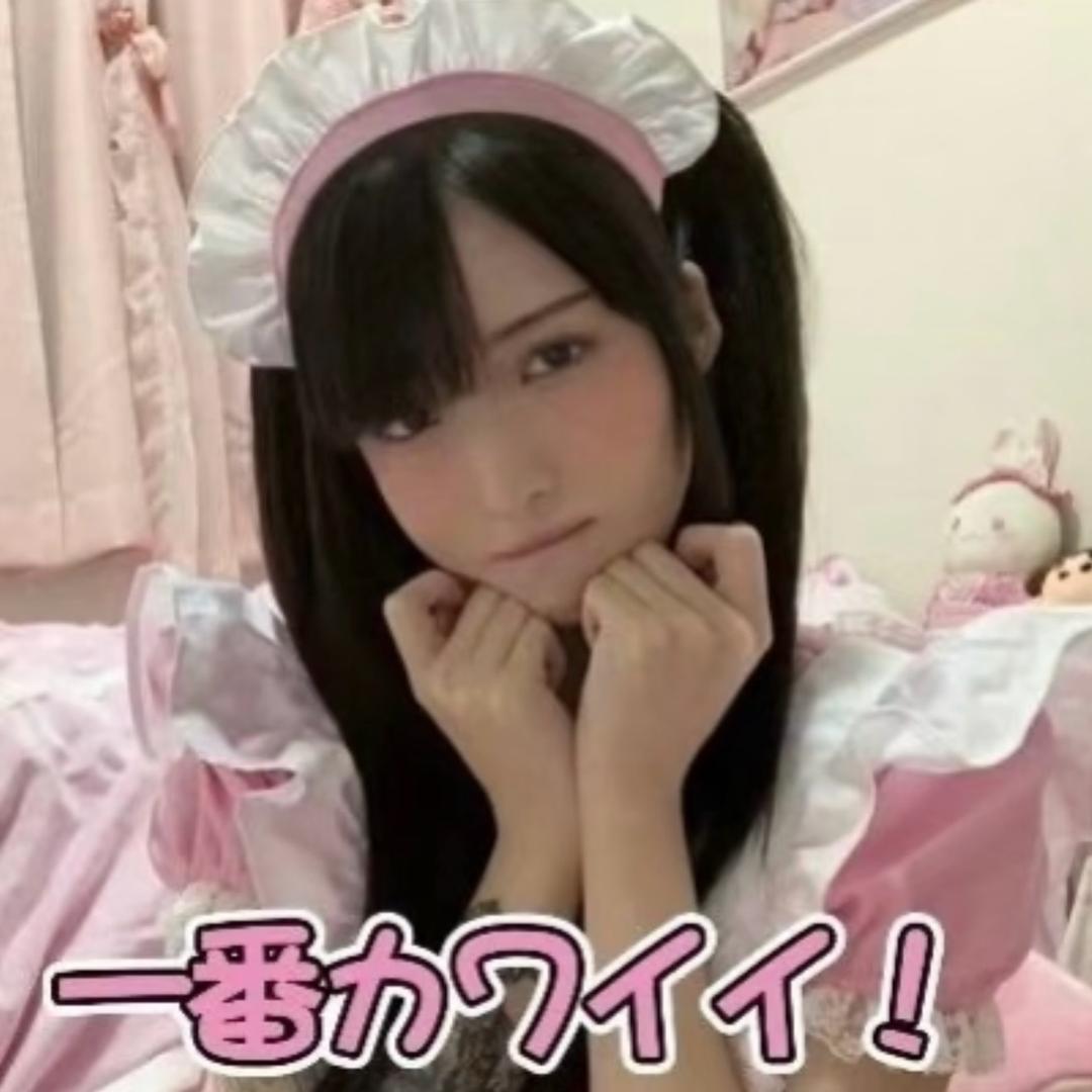 低脂猫
