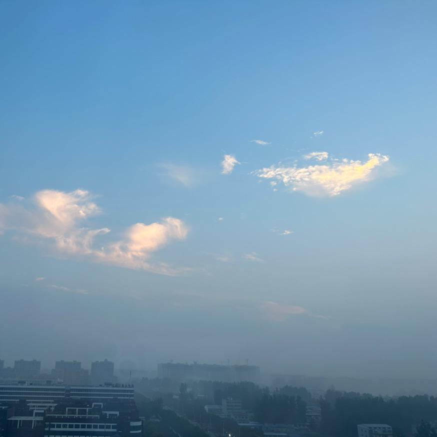 饭后闲谈李想