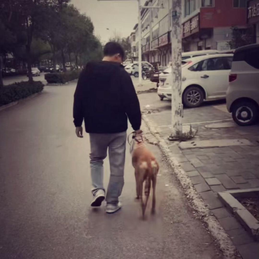 杰克巴迪
