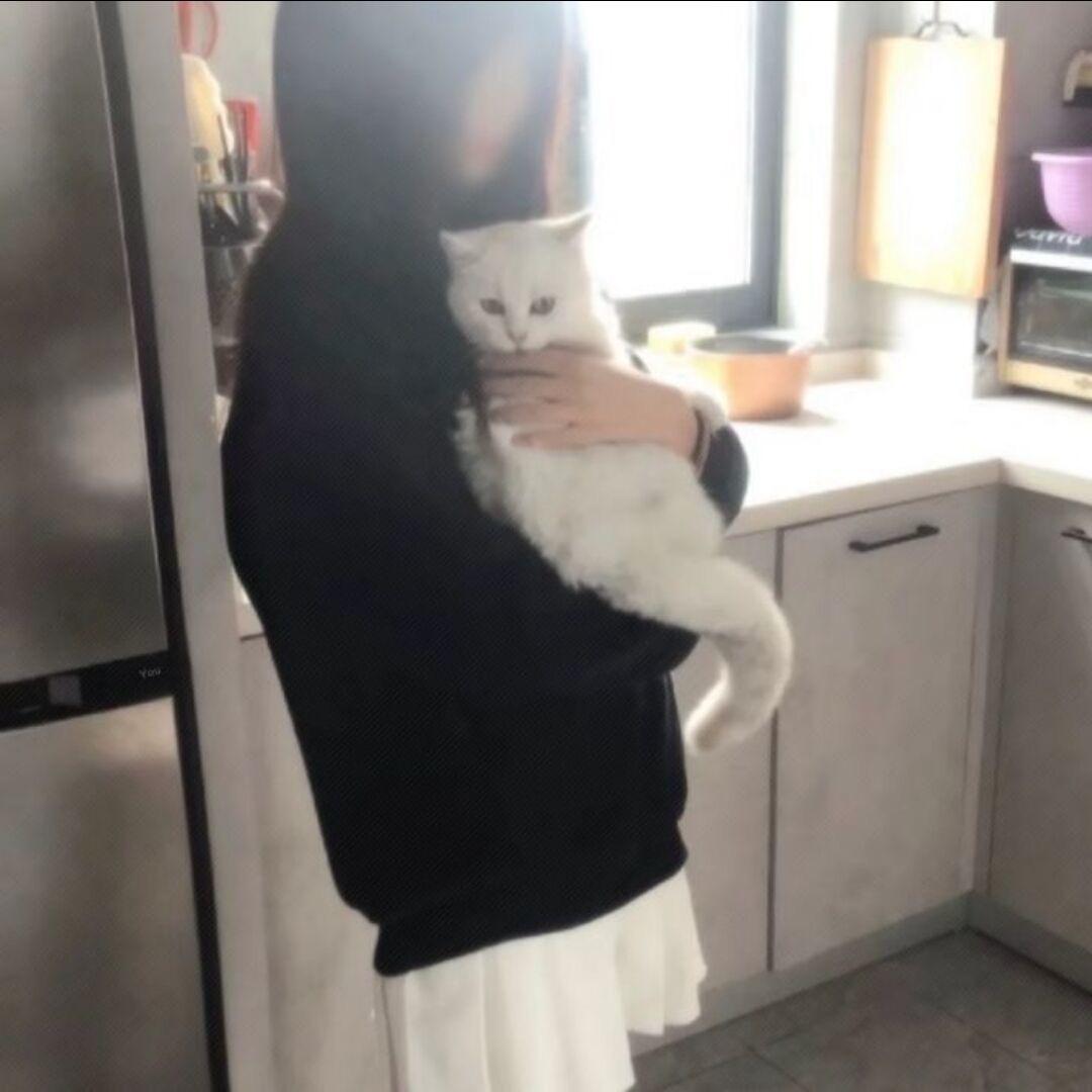 别来烦我…