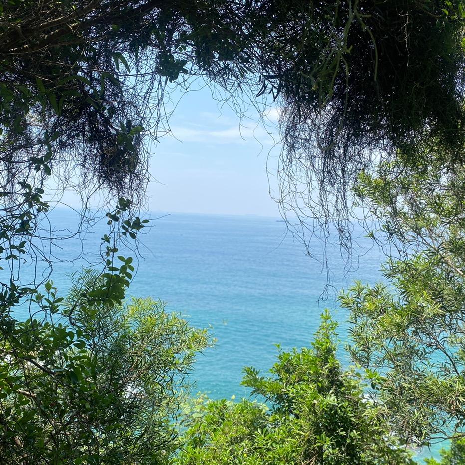 夏夏