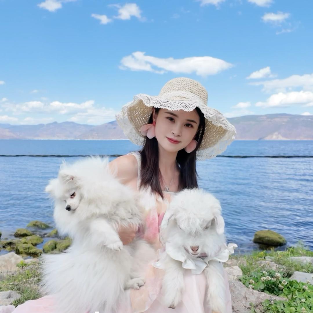小兔流浪记