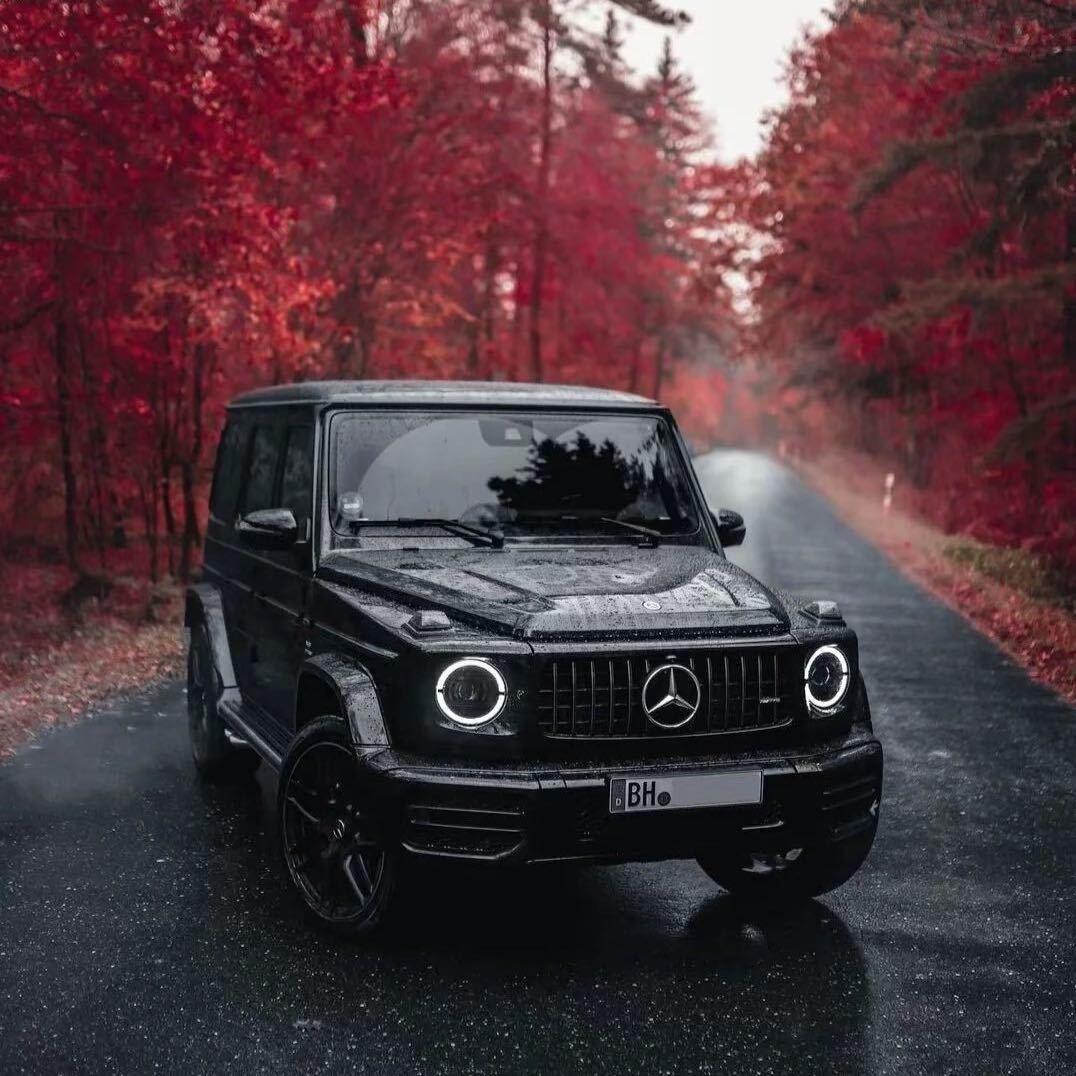 发雅丝专注烫染